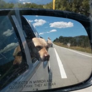 Meet your Posher, Anne